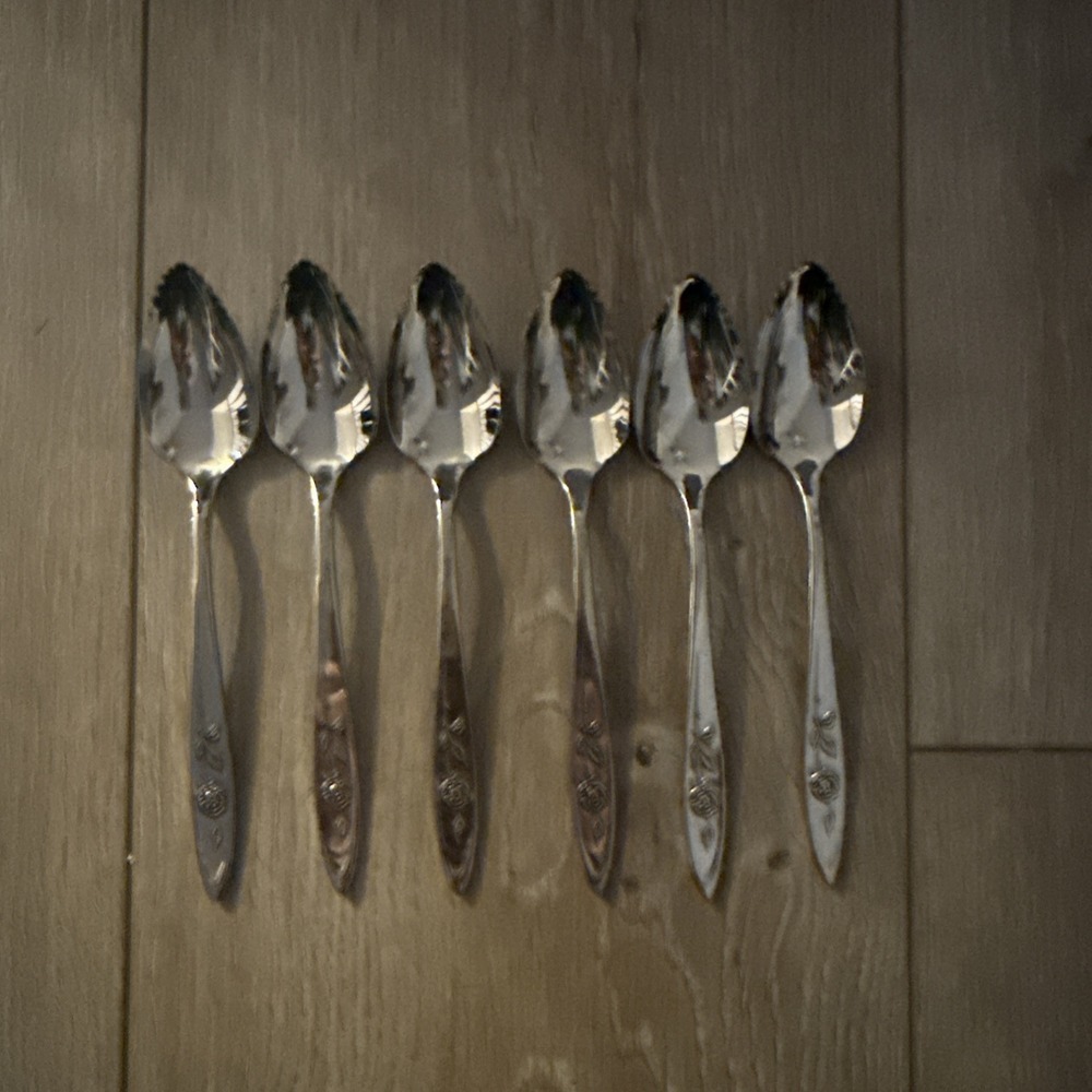 6 PCs Oneida Stainless MY ROSE Grapefruit‎ Spoons USA Made